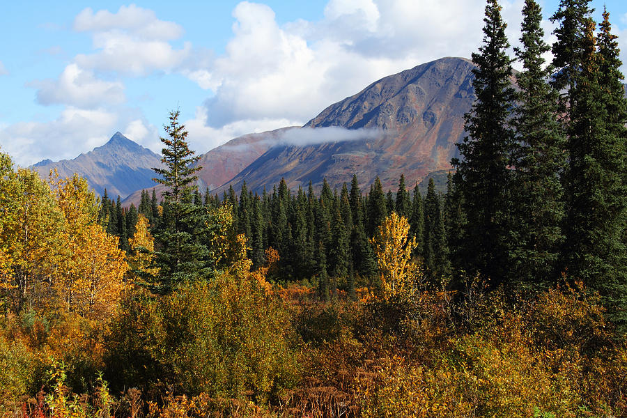 Mountain Photograph - Fall Colors by Doug Lloyd