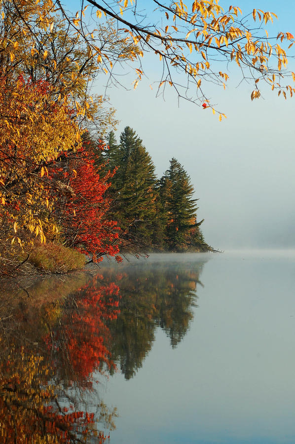 Fall colors on Lows Lake Photograph by Peter DeFina