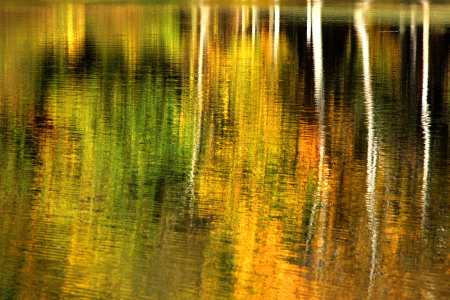 Fall colors reflection Photograph by Emanuel Tanjala