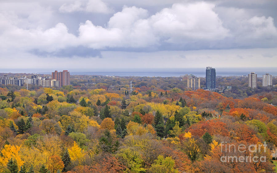 Fall Colors Under Stormy Clouds Photograph by Charline Xia