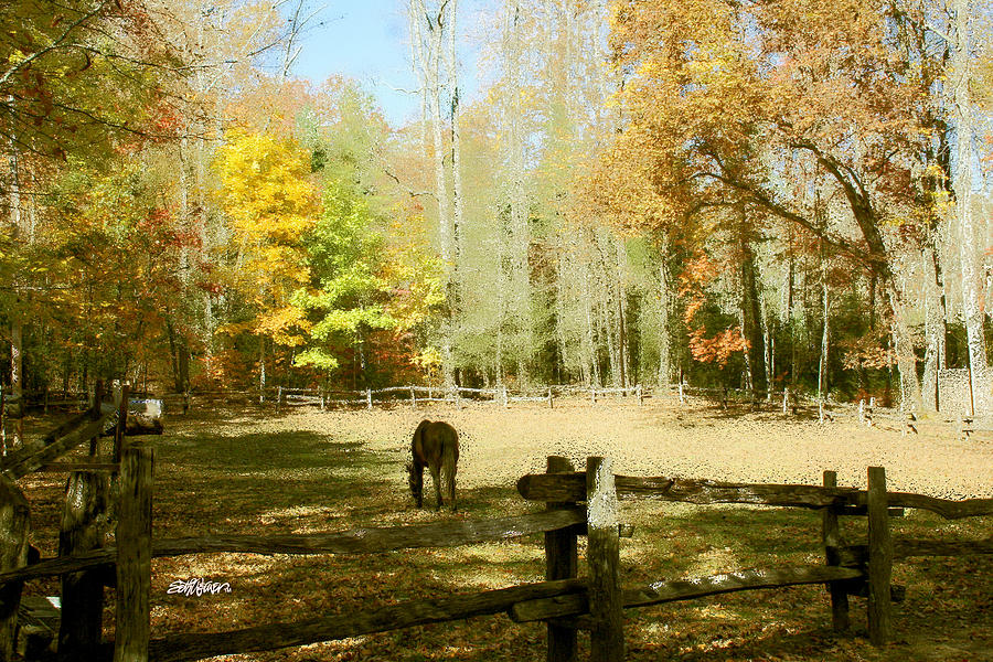 Fall Corral Photograph by Seth Weaver