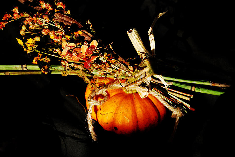 Fall Decoration Photograph by Janice Adomeit