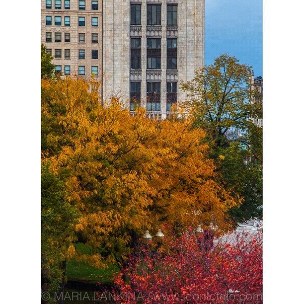 Detroit Photograph - #fall  #detroit #evolvingwork by Maria Lankina