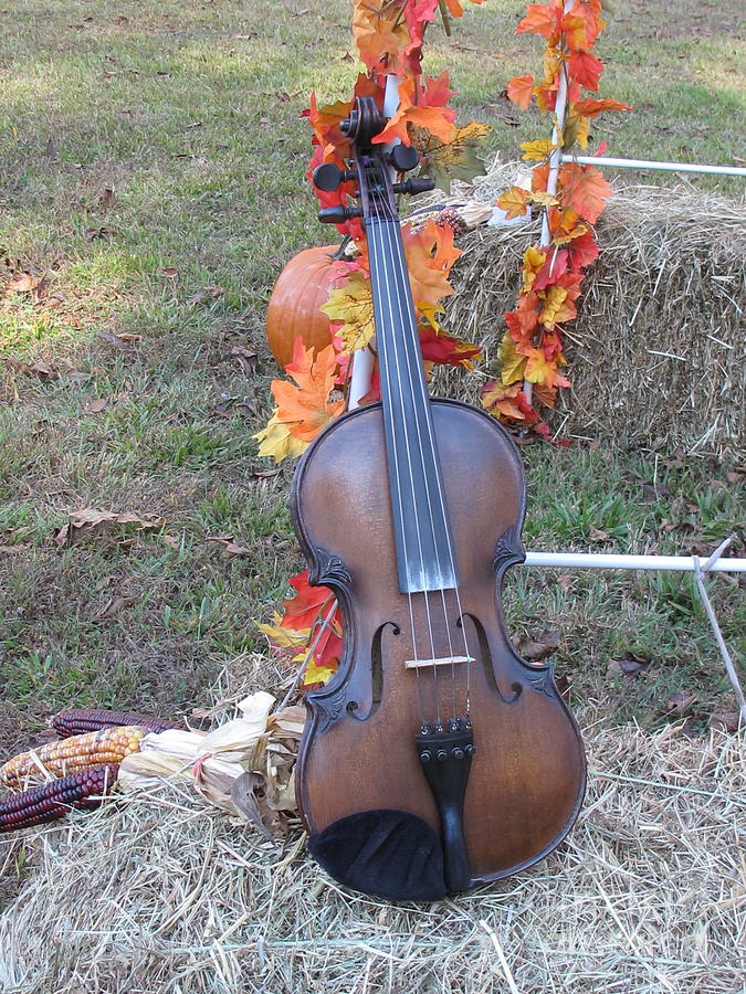 Fall Fiddle Photograph by Sandy McIntire