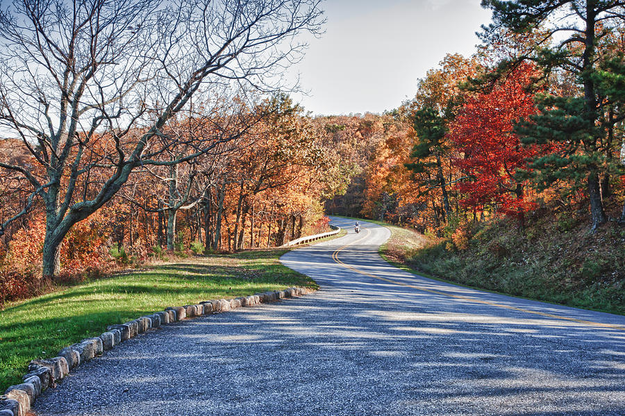 Fall Foliage On the Blue Ridge Parkway Photograph by James Woody