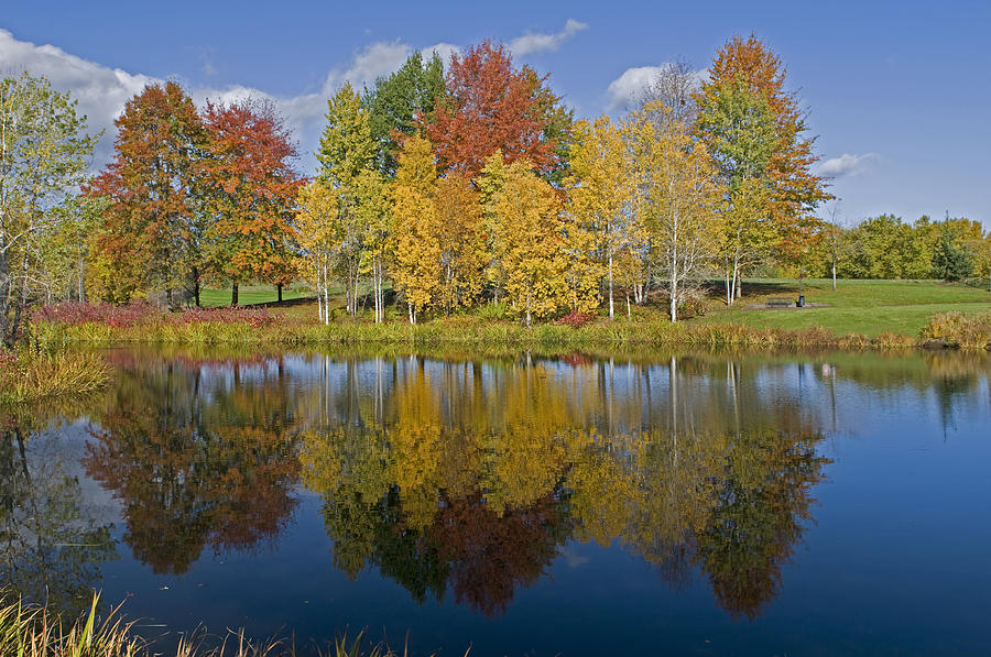 Fall foliage reflection Photograph by Jim Boardman