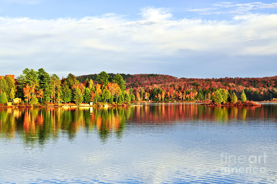 Fall forest reflecting in lake Photograph by Elena Elisseeva