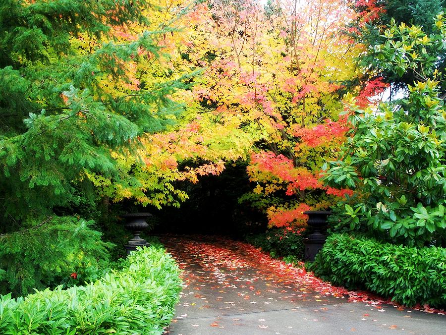 Fall Garden Entrance Photograph by Tatyana Searcy