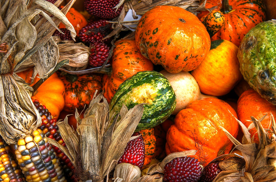 Fall Harvest Photograph by Brenda Giasson