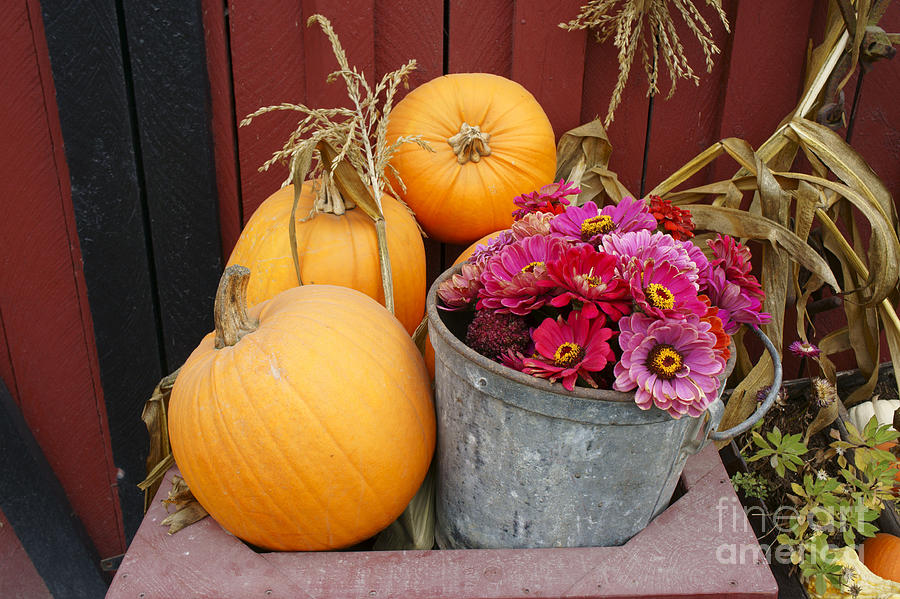Fall Harvest Display Photograph by John  Mitchell