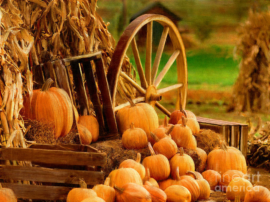 Fall Harvest by Susan Holsan