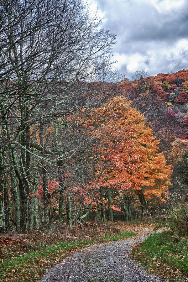 Fall Hiking Near Mountain Lake Photograph