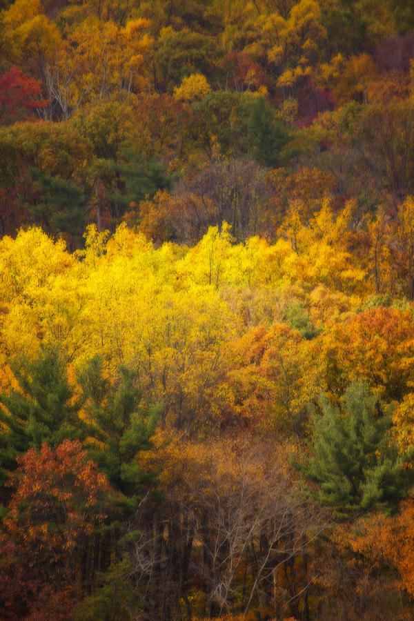 Fall In Central Pennsylvania Photograph