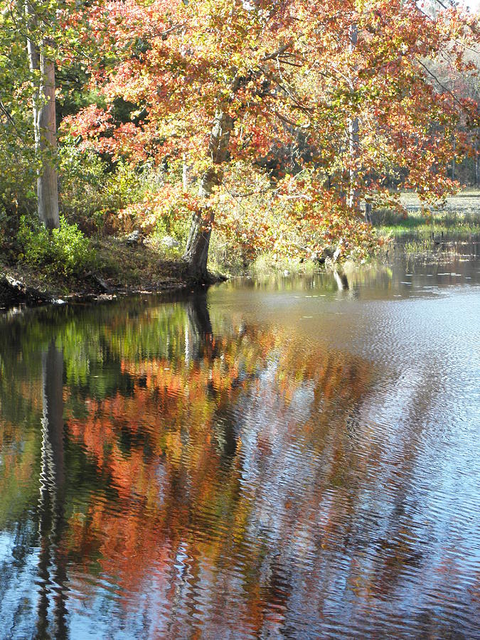 fall in Connecticut 2011 Photograph by Kim Galluzzo Wozniak