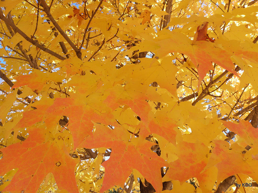 Fall in New England Photograph by Kim Galluzzo Wozniak Fall in New England Photograph by Kim Galluzzo Wozniak