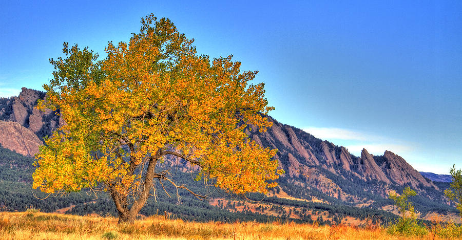 Fall in the Flatirons Photograph by Scott Mahon