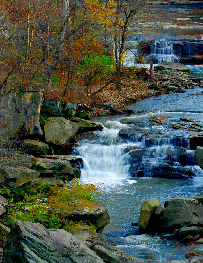 Fall in the park Photograph by Tom Kilbane - Fine Art America