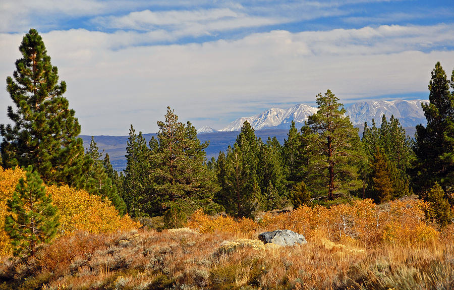 Fall Photograph - Fall in the Sierra by Lynn Bauer