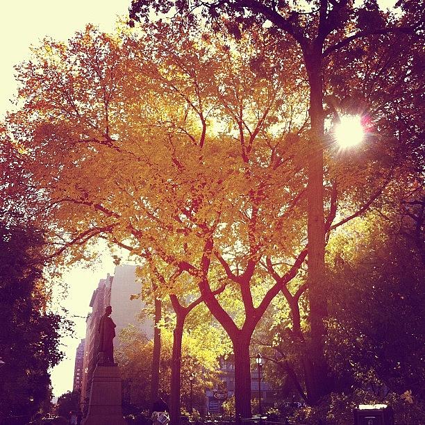 Fall In Union Square. I Love Walking To Photograph by Logan Gentry