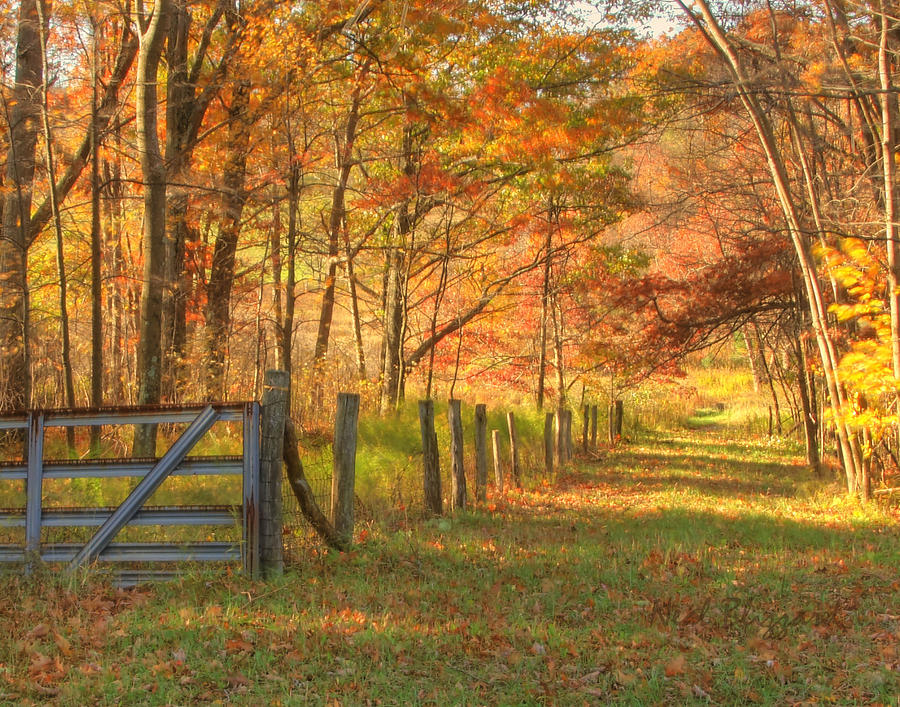 Fall In Western Maryland Photograph by Neal Blizzard