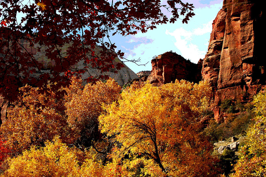 Fall in Zion Photograph by Patricia Haynes