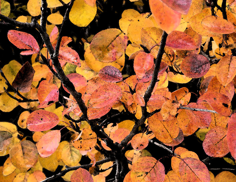 Abstract Digital Art - Fall Leaves by Bill Kennedy Abstract Digital Art - Fall Leaves by Bill Kennedy
