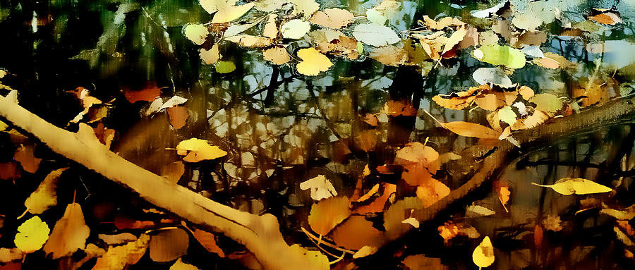 Fall Leaves Photograph by Ellen Heaverlo