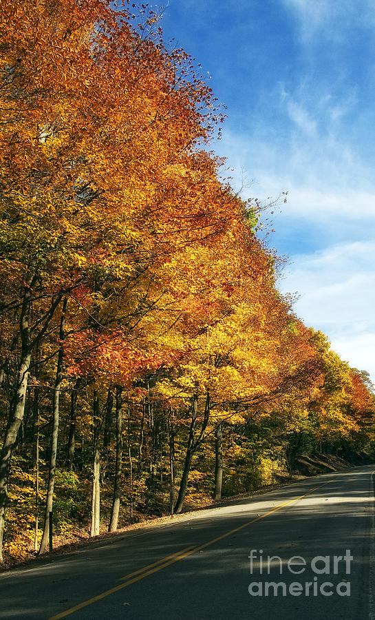 Fall Lined Road in West Va Photograph by Kathleen K Parker