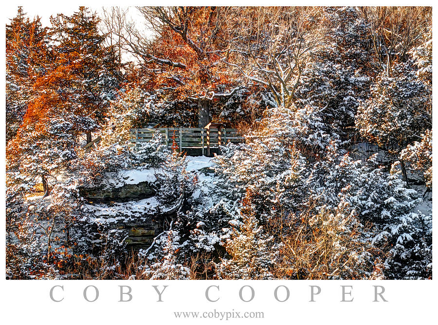 Fall Meets Winter Photograph by Coby Cooper