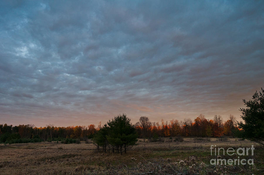 Fall Morning Sky Photograph by Cheryl Baxter