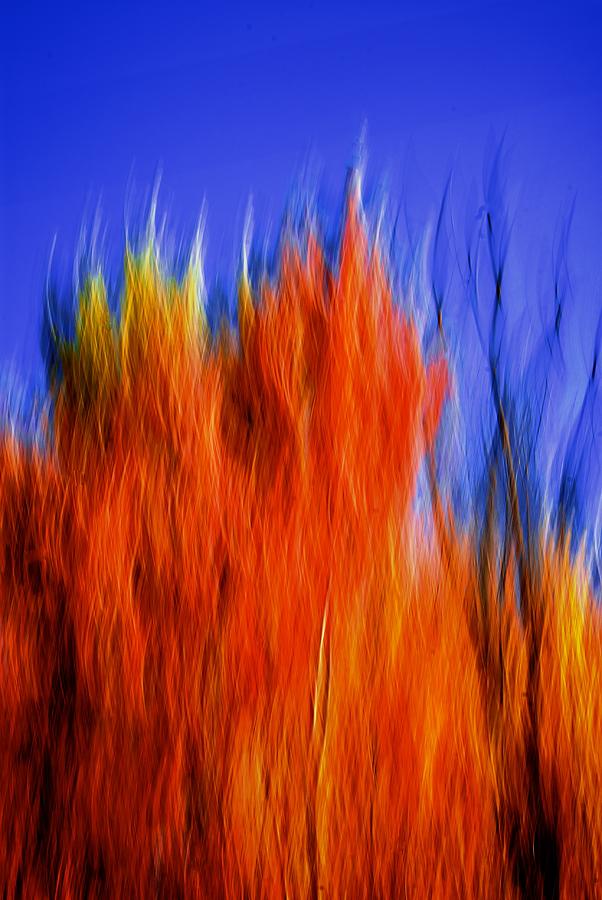 Fall on fire Photograph by Prince Andre Faubert