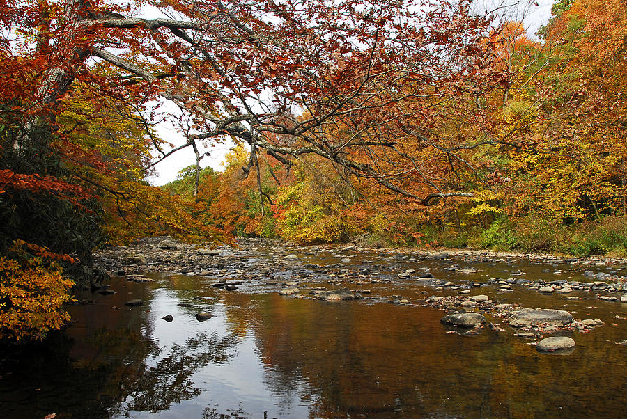 Fall On Laurel Hill Creek Photograph by Dan Myers