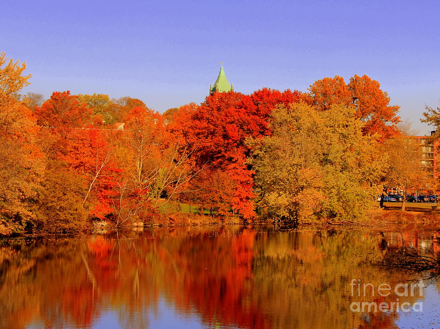 Fall on Mystic lake Photograph by Lennie Malvone