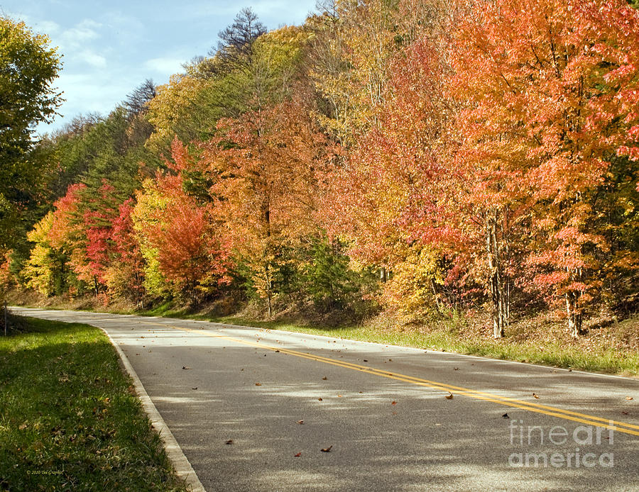 Fall On The Cherohala Skyway Smoky Mountains Photograph by Schwartz ...