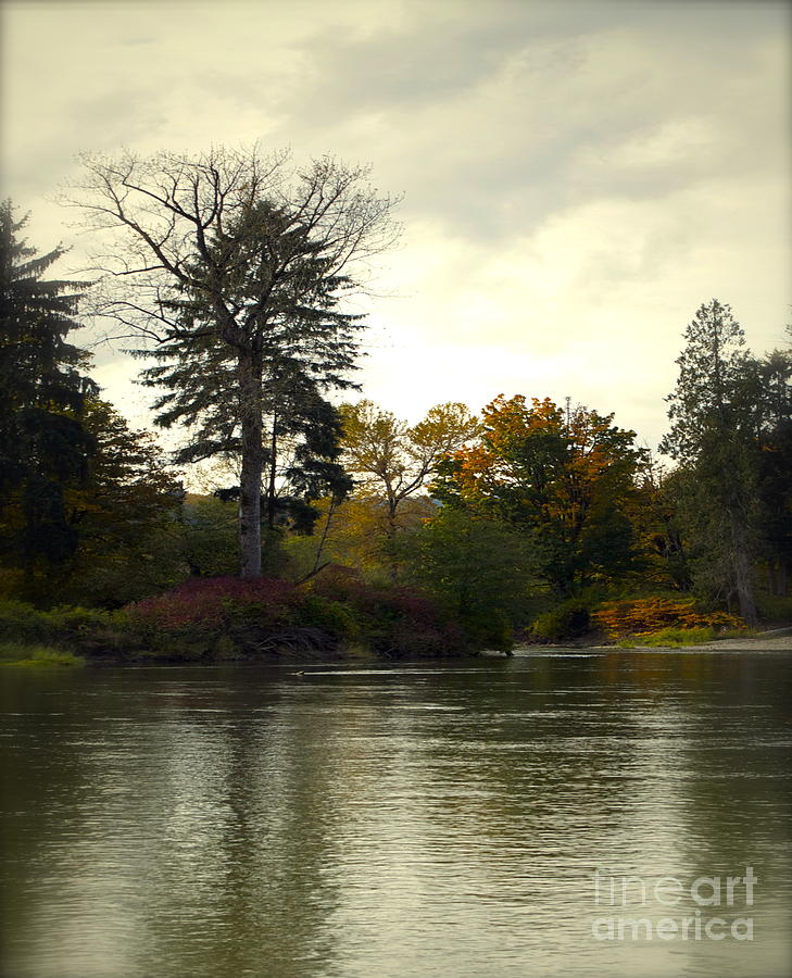 Fall on the Snohomish River Photograph by Gwyn Newcombe