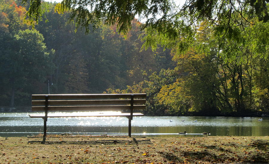 Fall Park Bench and Ducks Photograph by Anita Burgermeister