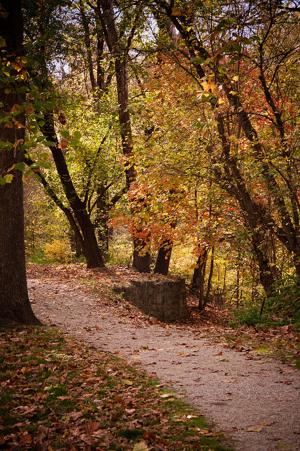Fall path Photograph by Kelley Nelson