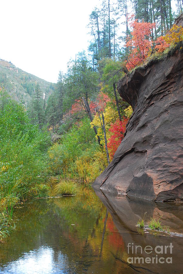Fall Peeks from behind the Rocks Photograph by Heather Kirk