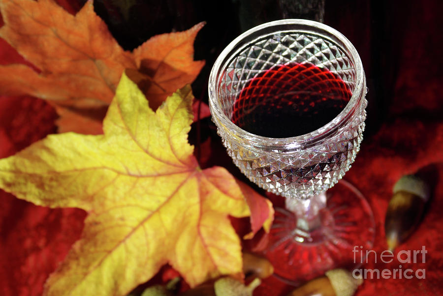 Christmas Photograph - Fall Red Wine by Carlos Caetano