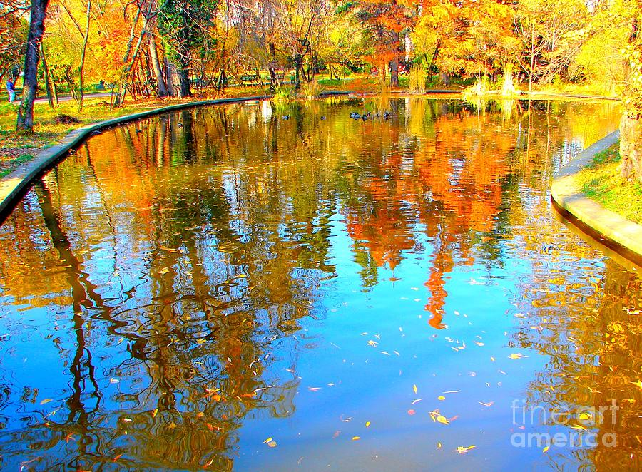 Fall Photograph - Fall Reflections by Ana Maria Edulescu