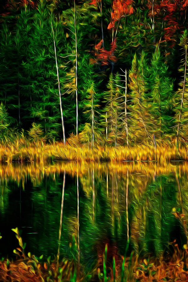 Fall Reflections Digital Art by Prince Andre Faubert