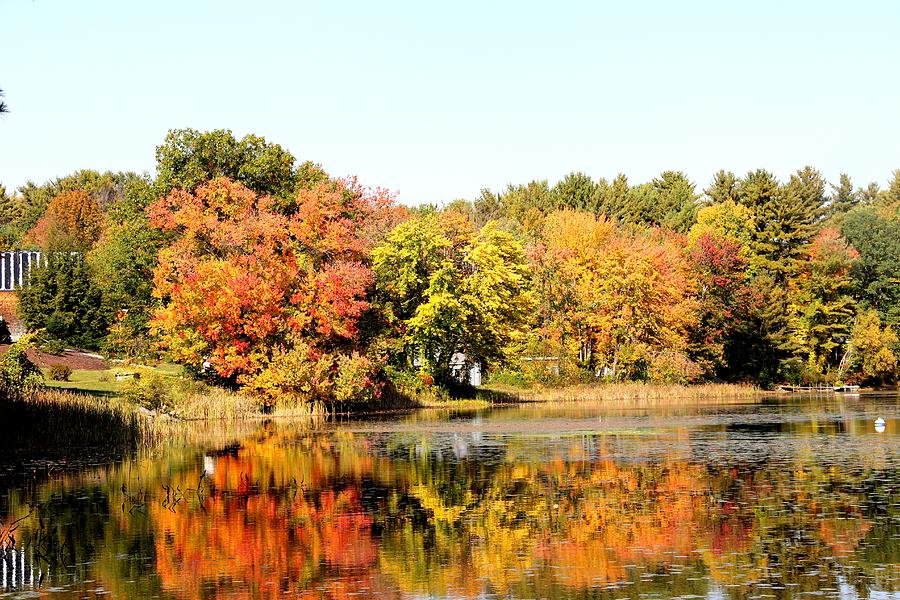 Fall Reflections Photograph by Charlene Reinauer