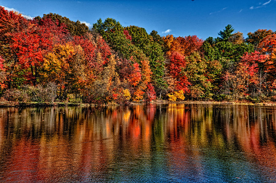 Fall Reflections Photograph by Fred LeBlanc