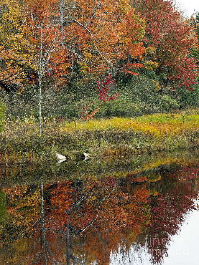 Fall Reflections Photograph by Glenn Gordon