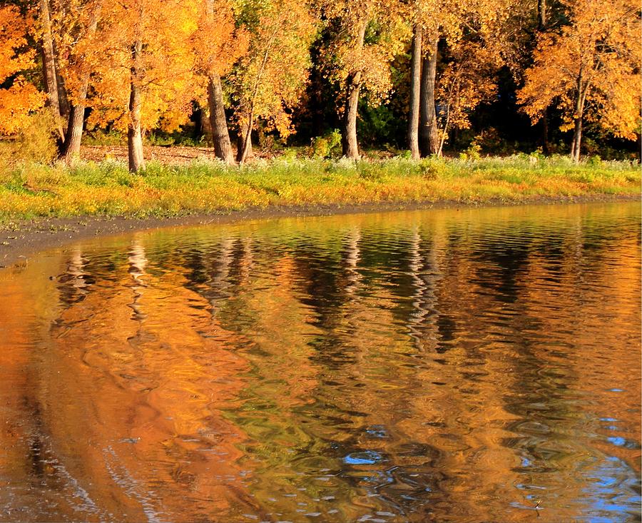 Fall Reflections Variations Photograph by Coby Cooper