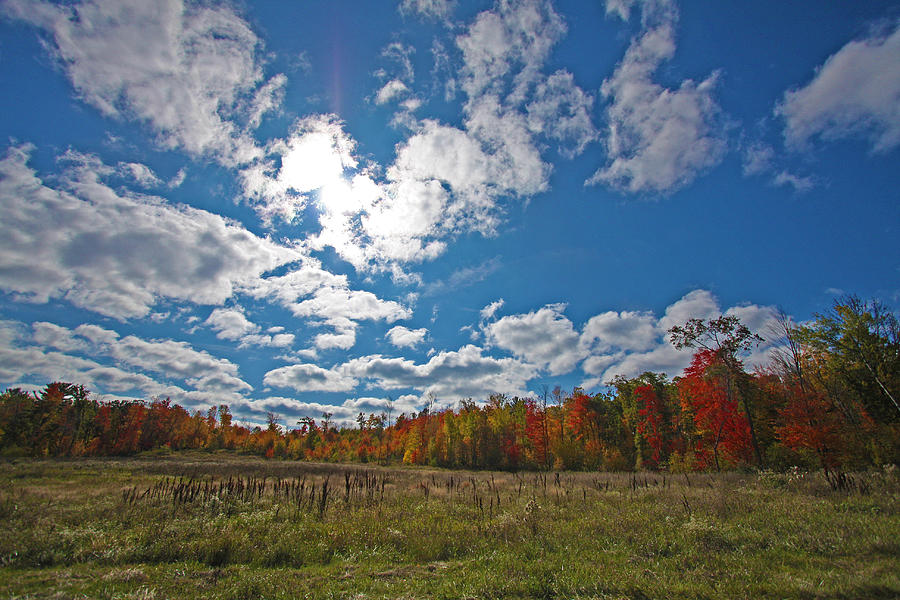 Fall Photograph - Fall sky by Ty Helbach