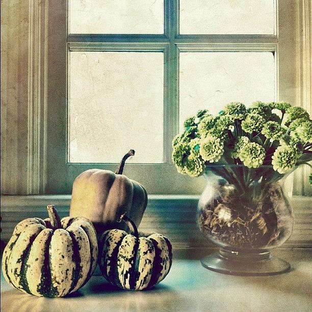 Fall Photograph - Fall Still Life #fall #pumpkins by Lynne Daley