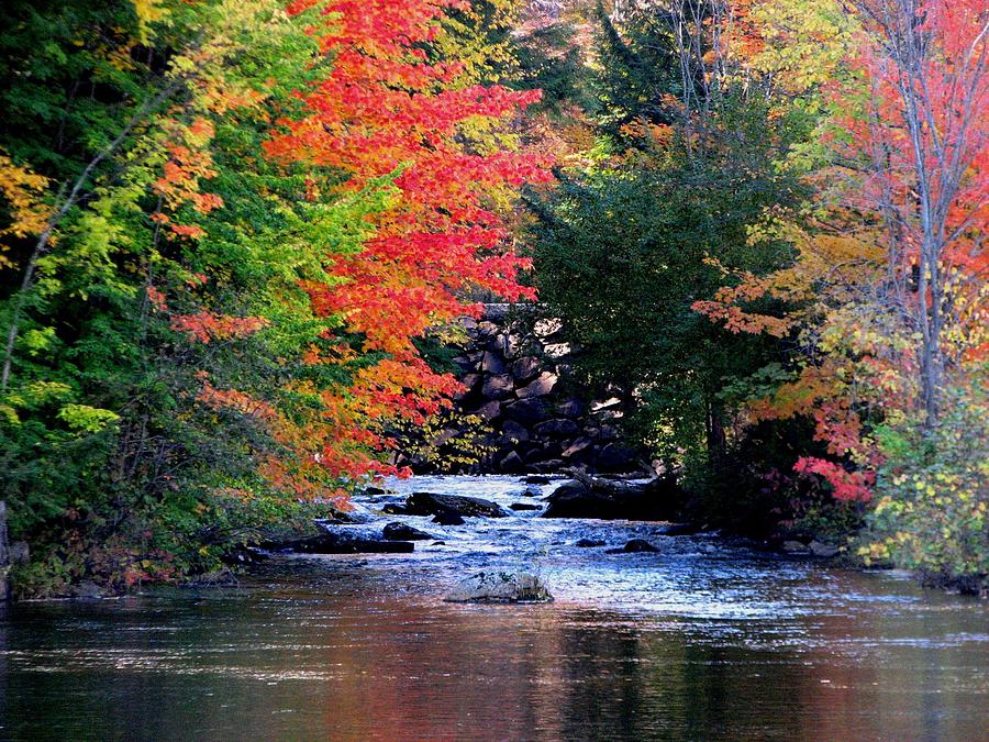 Fall stream Photograph by Charlene Reinauer