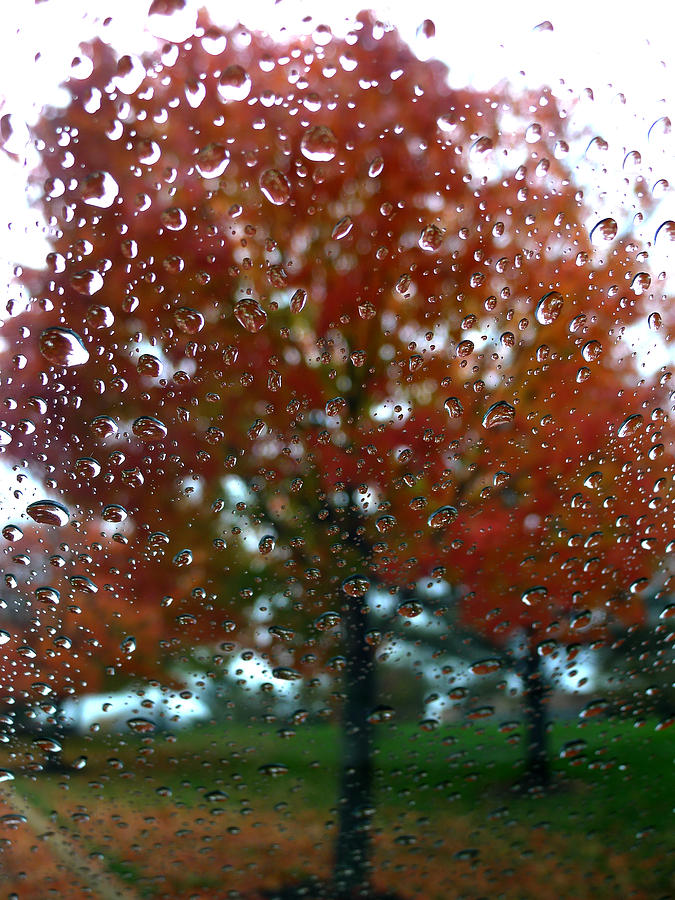 Fall Through a Wet Window Photograph by Richard Reeve