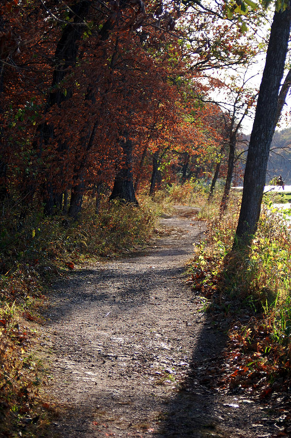 Fall Photograph - Fall Trail by Christina Young